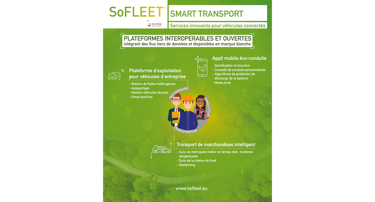 lesneufpoints-sofleet-flotauto5