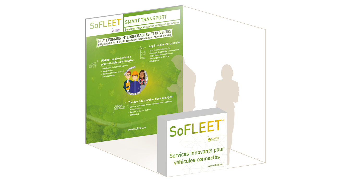 lesneufpoints-sofleet-flotauto7